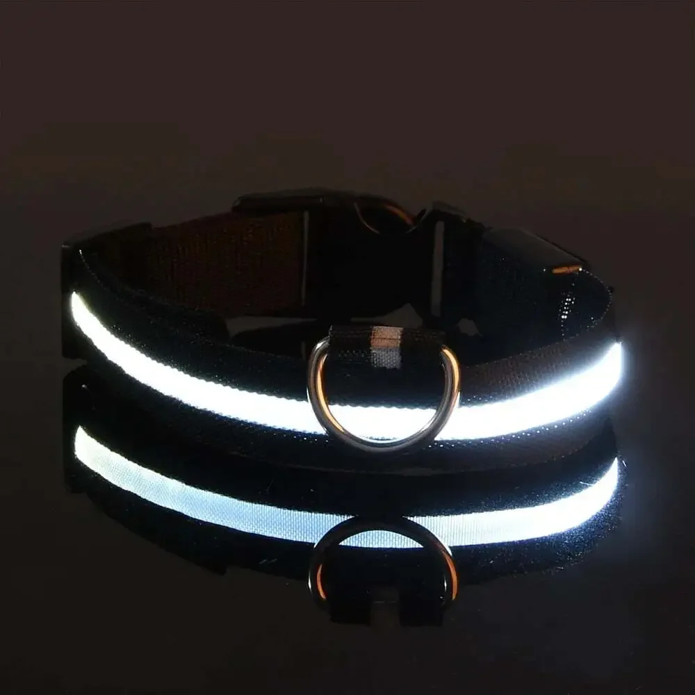 Nylon LED Night Safety Flashing Glow in the Dark Dog Leash Dogs Luminous Fluores